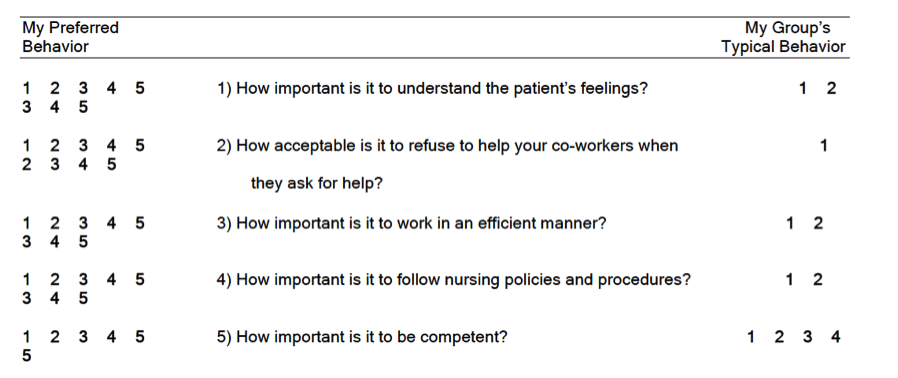 Nursing culture assessment tool